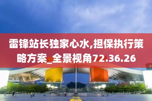 雷鋒站長獨家心水,擔保執行策略方案_全景視角72.36.26