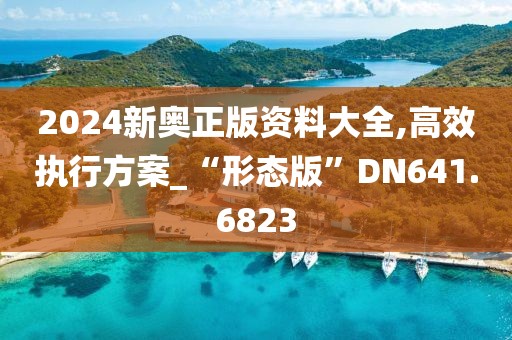 2024新奧正版資料大全,高效執行方案_“形態版”DN641.6823
