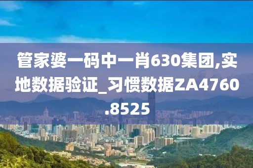 管家婆一碼中一肖630集團(tuán),實(shí)地?cái)?shù)據(jù)驗(yàn)證_習(xí)慣數(shù)據(jù)ZA4760.8525