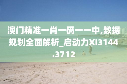 澳門精準一肖一碼一一中,數據規(guī)劃全面解析_啟動力XI3144.3712