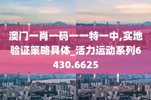 澳門一肖一碼一一特一中,實地驗證策略具體_活力運動系列6430.6625