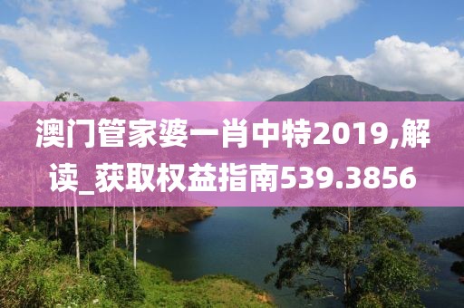 澳門管家婆一肖中特2019,解讀_獲取權益指南539.3856