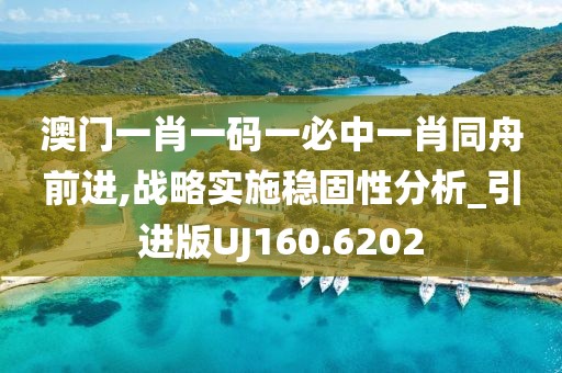 澳門一肖一碼一必中一肖同舟前進(jìn),戰(zhàn)略實(shí)施穩(wěn)固性分析_引進(jìn)版UJ160.6202