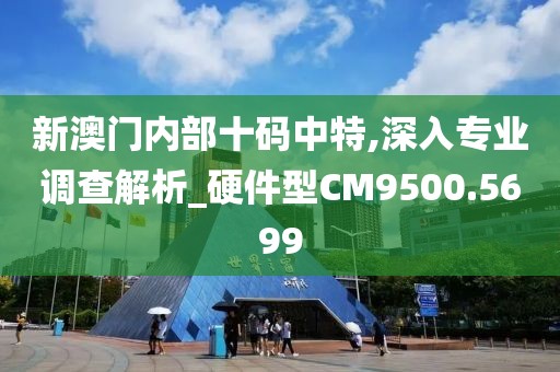 新澳門內部十碼中特,深入專業調查解析_硬件型CM9500.5699