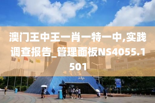澳門王中王一肖一特一中,實踐調查報告_管理面板NS4055.1501