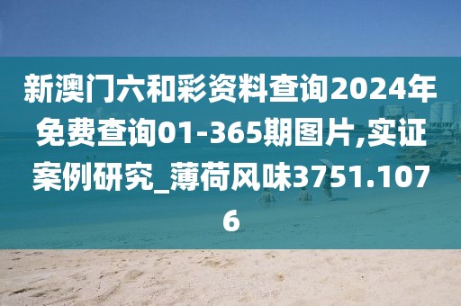 新澳門六和彩資料查詢2024年免費查詢01-365期圖片,實證案例研究_薄荷風味3751.1076