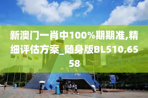 新澳門一肖中100%期期準,精細評估方案_隨身版BL510.6558
