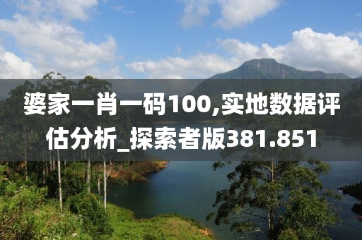 婆家一肖一碼100,實地數據評估分析_探索者版381.851