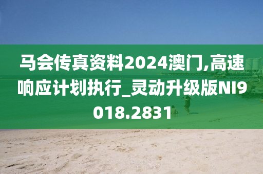 馬會傳真資料2024澳門,高速響應計劃執行_靈動升級版NI9018.2831