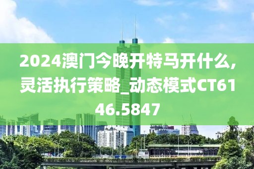 2024澳門今晚開特馬開什么,靈活執行策略_動態模式CT6146.5847