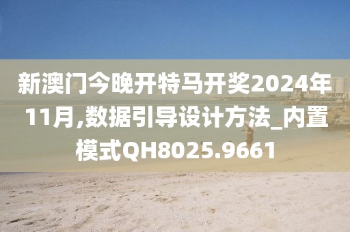 新澳門今晚開特馬開獎2024年11月,數據引導設計方法_內置模式QH8025.9661