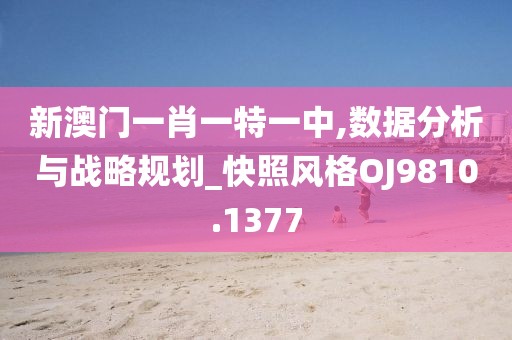 新澳門一肖一特一中,數(shù)據(jù)分析與戰(zhàn)略規(guī)劃_快照風格OJ9810.1377