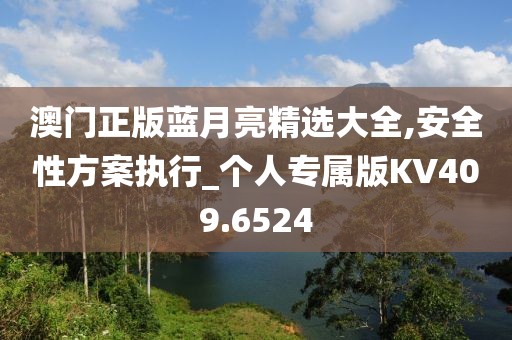 澳門正版藍月亮精選大全,安全性方案執行_個人專屬版KV409.6524