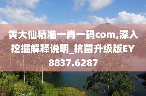 黃大仙精準一肖一碼com,深入挖掘解釋說明_抗菌升級版EY8837.6287