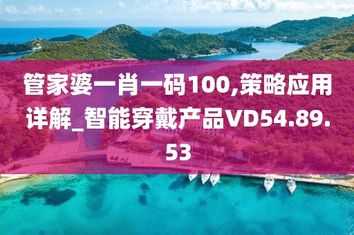 管家婆一肖一碼100,策略應用詳解_智能穿戴產品VD54.89.53