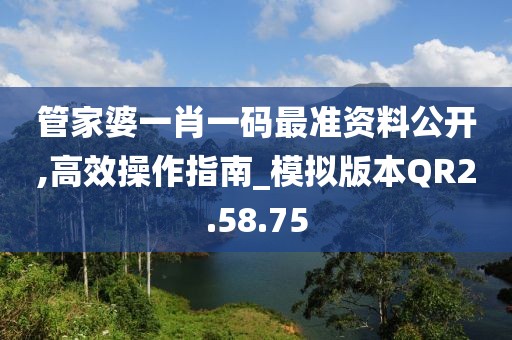 管家婆一肖一碼最準(zhǔn)資料公開,高效操作指南_模擬版本QR2.58.75
