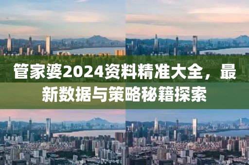管家婆2024資料精準大全,最新數據與策略秘籍探索
