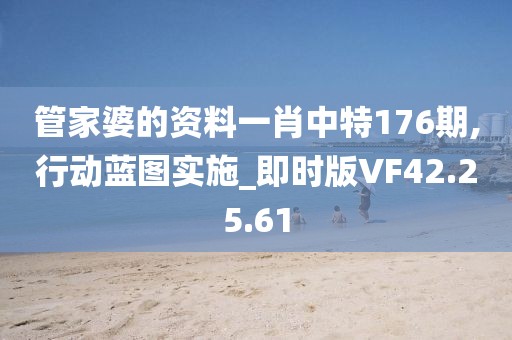 管家婆的資料一肖中特176期,行動藍圖實施_即時版VF42.25.61