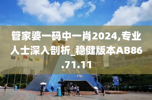 管家婆一碼中一肖2024,專業人士深入剖析_穩健版本AB86.71.11