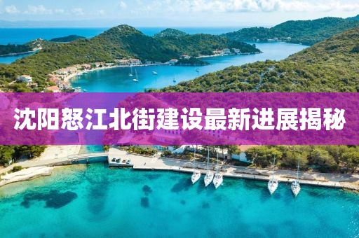 沈陽怒江北街建設最新進展揭秘
