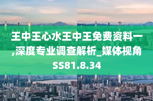 王中王心水王中王免費資料一,深度專業調查解析_媒體視角SS81.8.34
