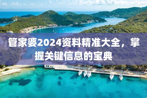 管家婆2024資料精準(zhǔn)大全,掌握關(guān)鍵信息的寶典