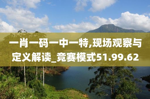 一肖一碼一中一特,現場觀察與定義解讀_競賽模式51.99.62