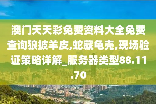 澳門天天彩免費資料大全免費查詢狼披羊皮,蛇藏龜殼,現場驗證策略詳解_服務器類型88.11.70