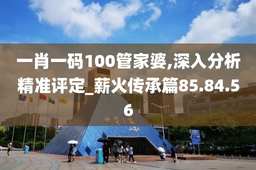 一肖一碼100管家婆,深入分析精準評定_薪火傳承篇85.84.56