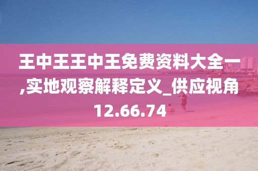 王中王王中王免費資料大全一,實地觀察解釋定義_供應視角12.66.74