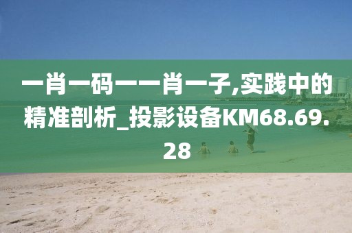 一肖一碼一一肖一子,實踐中的精準剖析_投影設備KM68.69.28