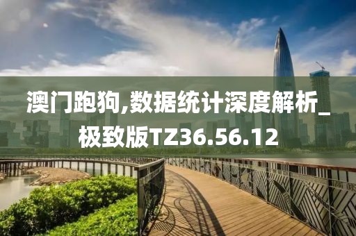 澳門跑狗,數據統計深度解析_極致版TZ36.56.12