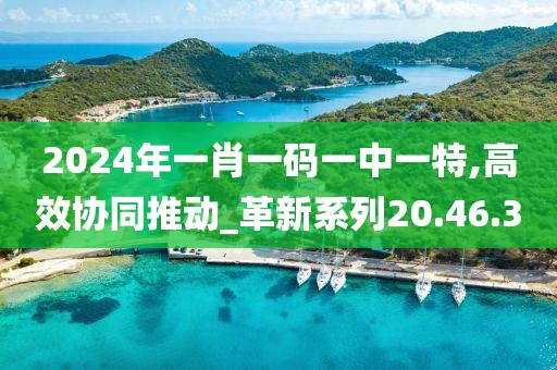 2024年一肖一碼一中一特,高效協(xié)同推動_革新系列20.46.3