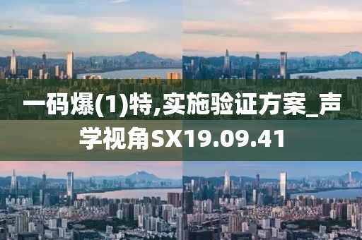 一碼爆(1)特,實施驗證方案_聲學視角SX19.09.41