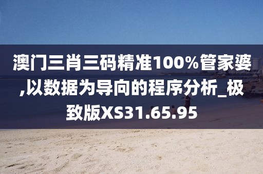 澳門三肖三碼精準100%管家婆,以數據為導向的程序分析_極致版XS31.65.95
