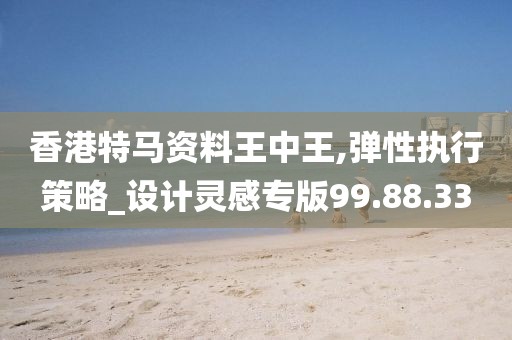 香港特馬資料王中王,彈性執行策略_設計靈感專版99.88.33