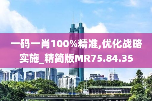 一碼一肖100%精準,優化戰略實施_精簡版MR75.84.35