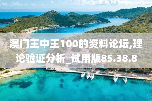 澳門王中王100的資料論壇,理論驗(yàn)證分析_試用版85.38.8