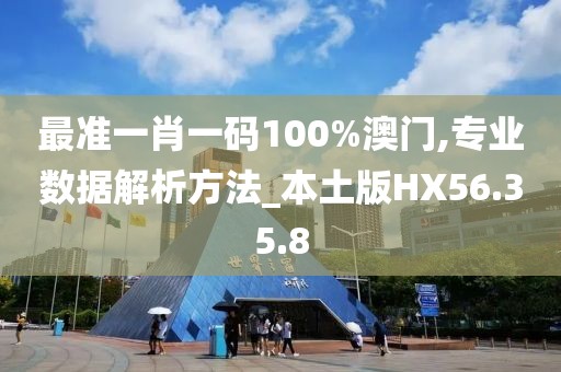 最準一肖一碼100%澳門,專業數據解析方法_本土版HX56.35.8
