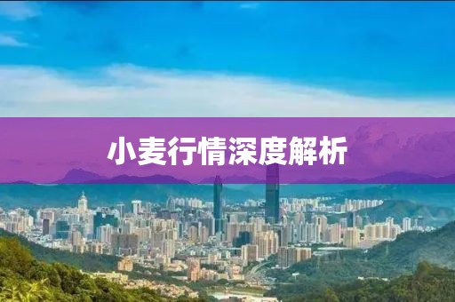 小麥行情深度解析