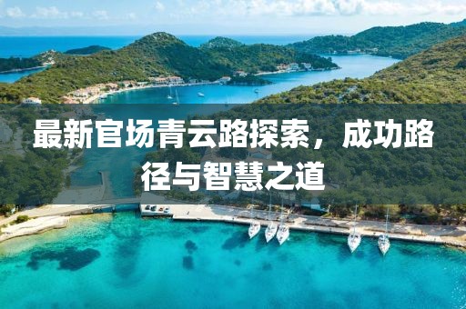 最新官場青云路探索，成功路徑與智慧之道