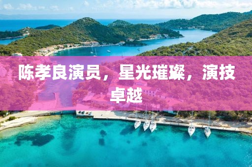 陳孝良演員，星光璀璨，演技卓越