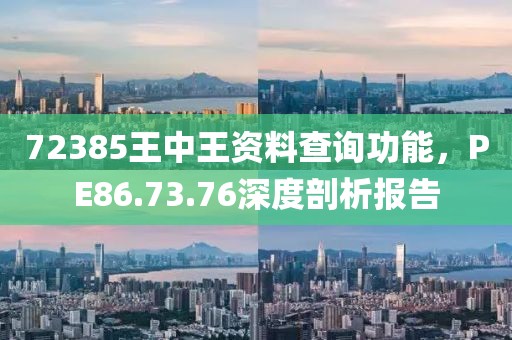72385王中王資料查詢功能，PE86.73.76深度剖析報告