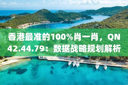 香港最準的100%肖一肖，QN42.44.79：數據戰略規劃解析