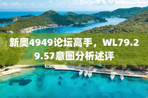 新奧4949論壇高手,WL79.29.57意圖分析述評