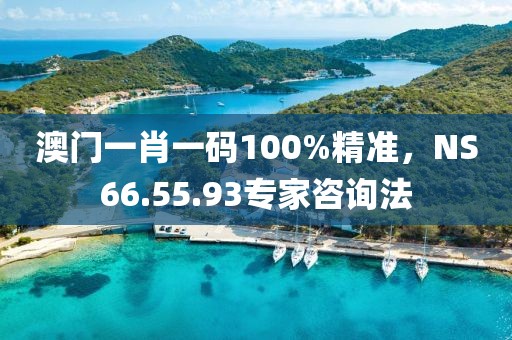 澳門一肖一碼100%精準，NS66.55.93專家咨詢法