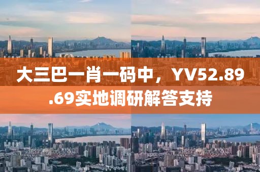 大三巴一肖一碼中,YV52.89.69實地調研解答支持