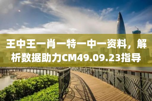 王中王一肖一特一中一資料，解析數據助力CM49.09.23指導