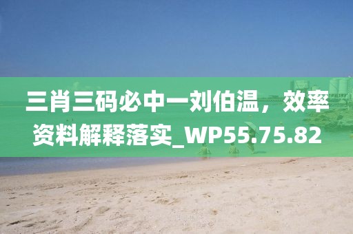 三肖三碼必中一劉伯溫,效率資料解釋落實(shí)_WP55.75.82