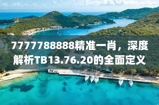 7777788888精準一肖，深度解析TB13.76.20的全面定義